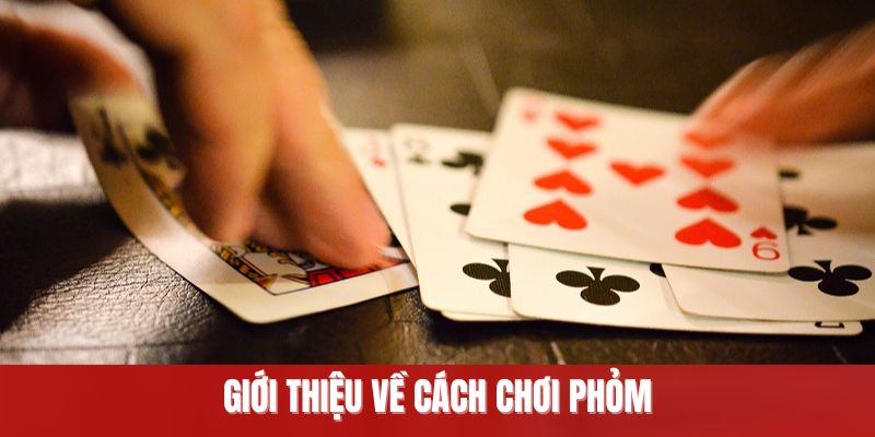 Giới thiệu chuẩn về cách chơi phỏm