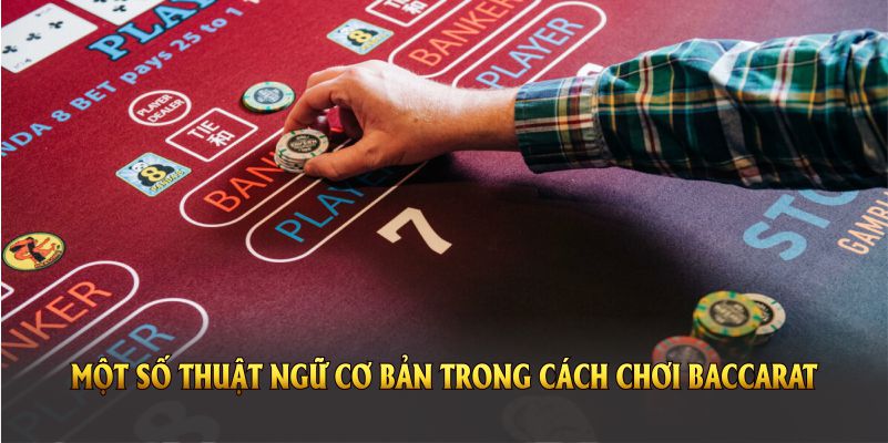 Một số thuật ngữ cơ bản trong cách chơi baccarat bạn cần nắm