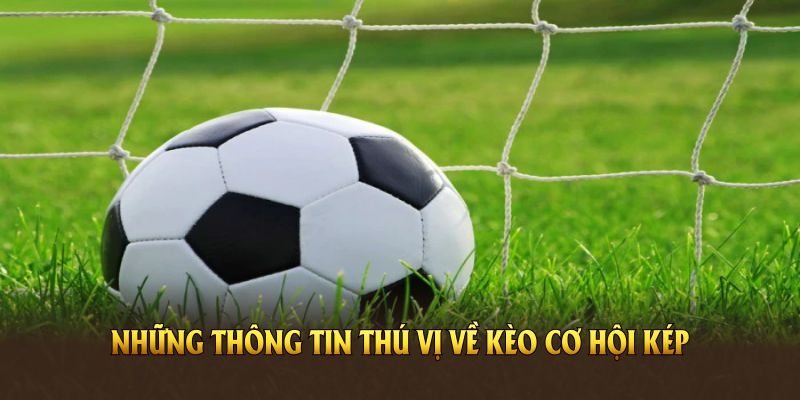 Những thông tin thú vị về kèo cơ hội kép mọi người nên biết