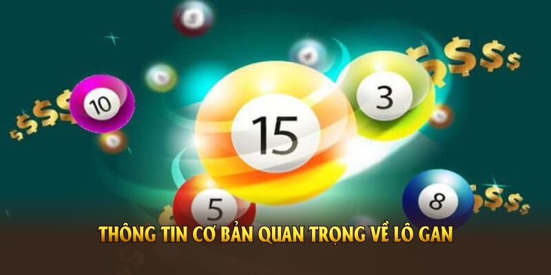 Thông tin cơ bản quan trọng về lô gan